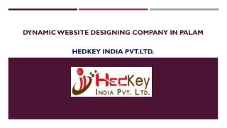 Dynamic Website Designing Company in Palam