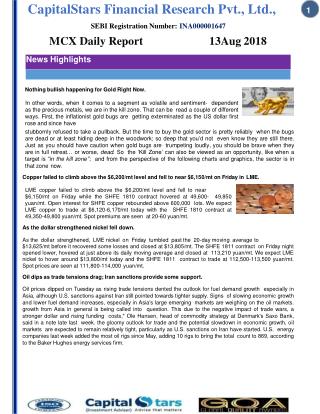 Daily MCX Report