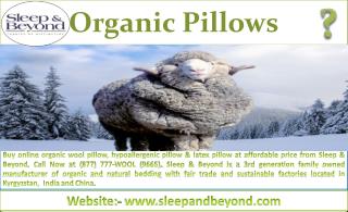Organic Pillows