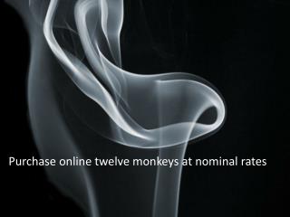 Purchase online twelve monkeys at nominal rates