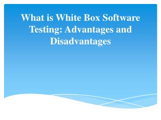 What is White Box Software Testing: Advantages and Disadvantages