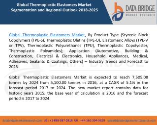 Global Thermoplastic Elastomers Market â€“ Industry Trends and Forecast to 2024