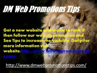 DM Web Promotions Tips