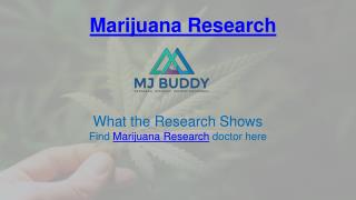 High quality Marijuana Research Doctor