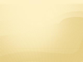 Web Designing Institute in delhi