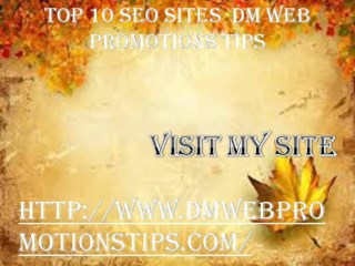 Top 10 SEO Sites | DM Web Promotions Tips