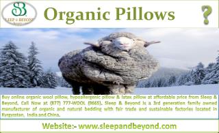 Organic Pillows