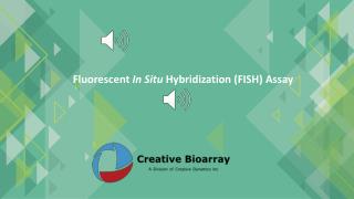 fluorescent in situ hybridization