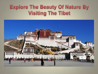 Explore The Beauty Of Nature By Visiting The Tibet