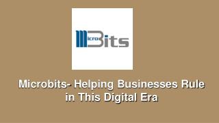 Microbits- Helping Businesses Rule in This Digital Era