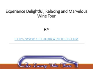 Experience Delightful, Relaxing and Marvelous Wine Tour