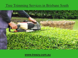 Tree Trimming Services in Brisbane South