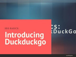 SEO Basics: Introducing Duckduckgo
