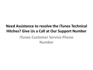 Contact the iTunes Customer Service Help Number