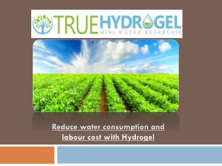 Reduce Water Consumption and Labour Cost with Hydrogel
