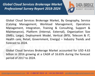 Global Cloud Services Brokerage Market â€“ Industry Trends and Forecast to 2024