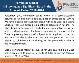 Global Polyamide Marketâ€“ Industry Trends and Forecast to 2024