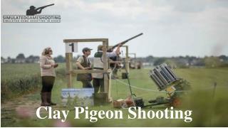 Clay Pigeon Shooting