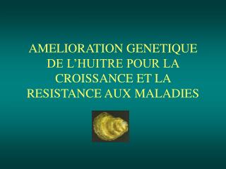 AMELIORATION GENETIQUE DE L’HUITRE POUR LA CROISSANCE ET LA RESISTANCE AUX MALADIES