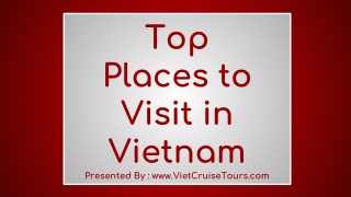Top Places to Visit in Vietnam