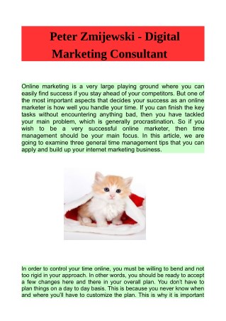 Peter Zmijewski - Digital Marketing Consultant