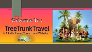 Fulfill Your Dream With India Tour Packages