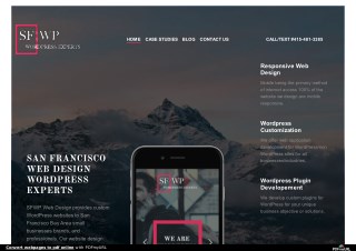 SFWP Experts | San Francisco Wordpress Development Agency