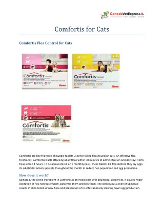 Comfortis for cats