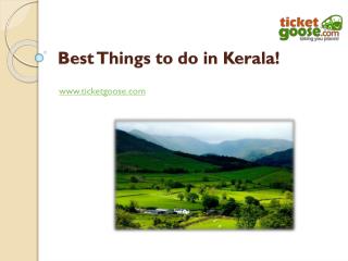 Best Things to do in Kerala!!