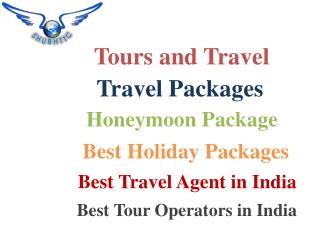 Holiday Packages, Best Travel Agent in India at ShubhTTC