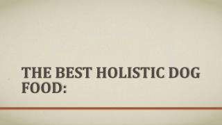 The Best Holistic Dog Food