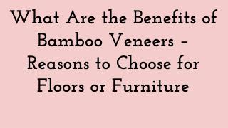 What Are the Benefits of Bamboo Veneers Reasons to Choose for Floors or Furniture