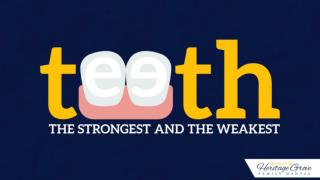 Teeth: The Strongest And The Weakest