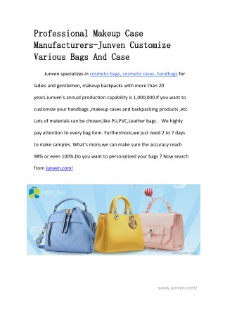 Professional Makeup Case Manufacturers-Junven Customize Various Bags And Case