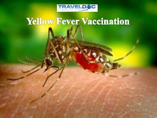 Yellow Fever Vaccination