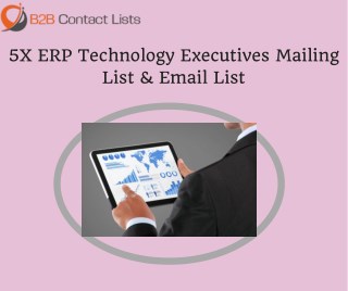 5X ERP Technology Executives Mailing Lists in USA
