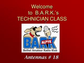 Welcome to B.A.R.K.’s TECHNICIAN CLASS