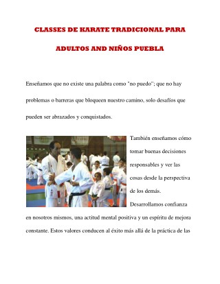 CLASSES DE KARATE TRADICIONAL PARA ADULTOS AND NIÃ‘OS PUEBLA