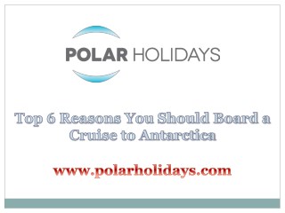 Top 6 Reasons You Should Board a Cruise to Antarctica