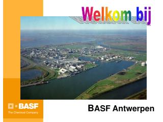 B ASF Antwerpen