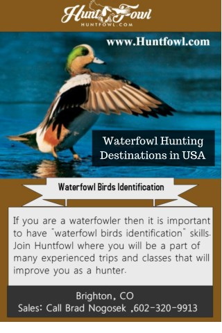 Waterfowl Hunting Destinations in USA