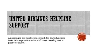 united airline helpline support