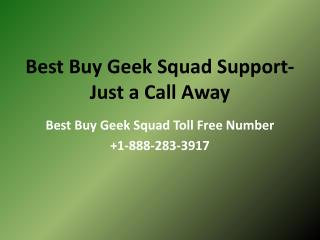 Best Buy Geek Squad Support- Just a Call Away- Free PPT