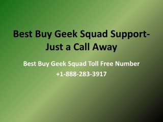 Best Buy Geek Squad Support- Just a Call Away- Free PDF