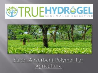 Super Absorbent Polymer For Agriculture