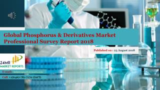Global Phosphorus & Derivatives Market Professional Survey Report 2018
