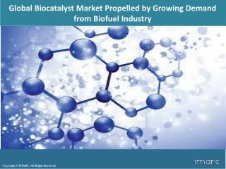 Global Biocatalyst Market Overview 2018, Demand by Regions, Share and Forecast to 2023