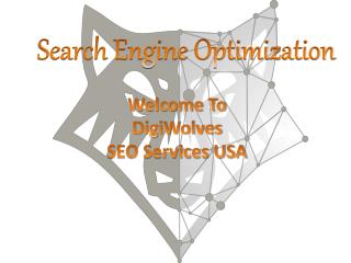 SEO Service USA | Internet Marketing | DigiWolves