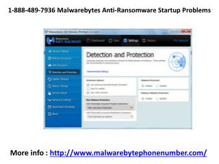 1-888-489-7936 Malwrebytes Customer Support Number