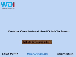 Why Choose Website Developers India (wdi) To Uplift Your Business